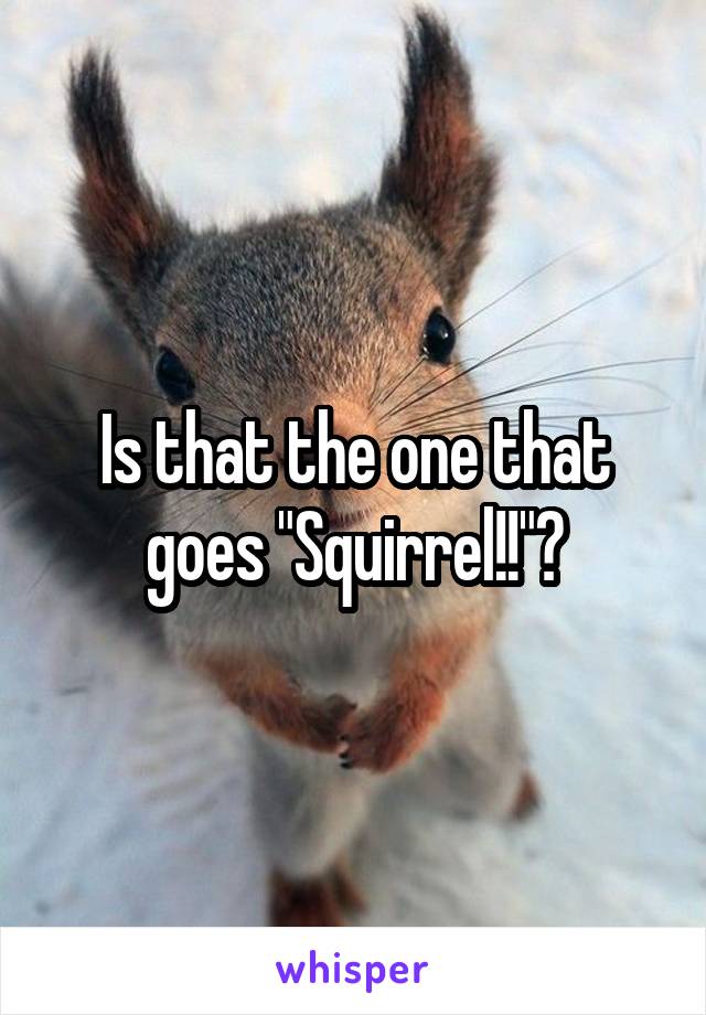 Is that the one that goes "Squirrel!!"?