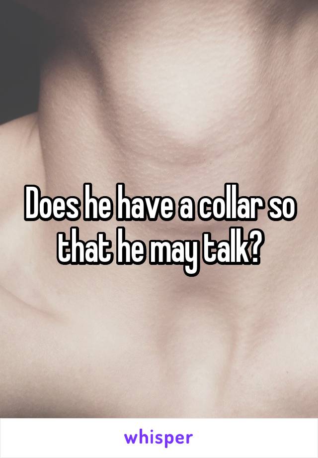 Does he have a collar so that he may talk?