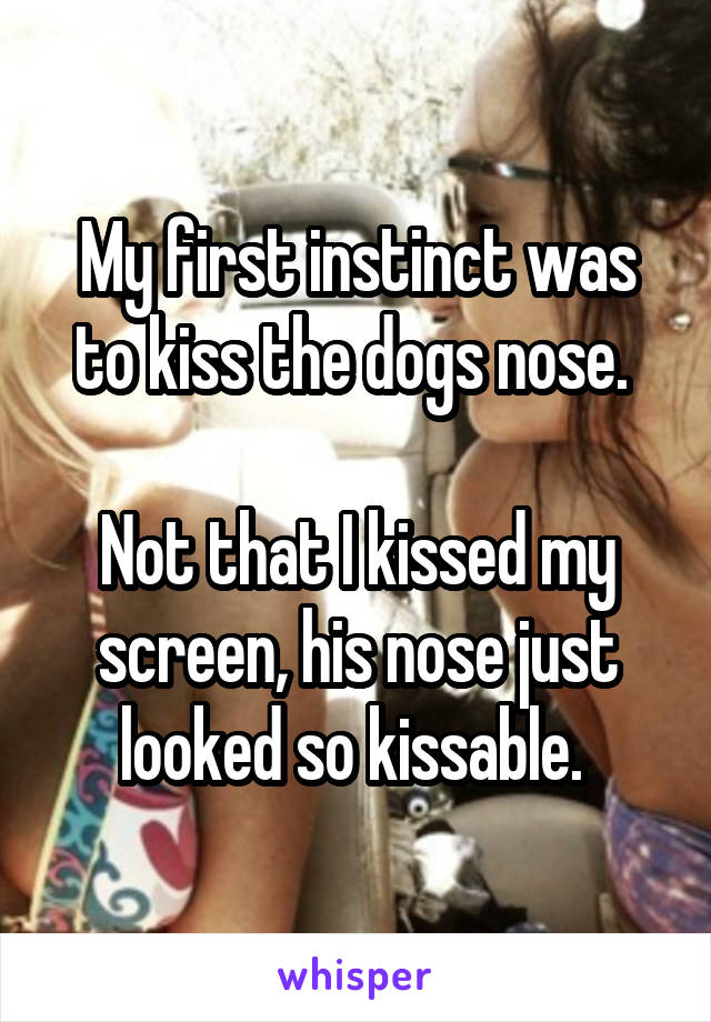 My first instinct was to kiss the dogs nose. 

Not that I kissed my screen, his nose just looked so kissable. 