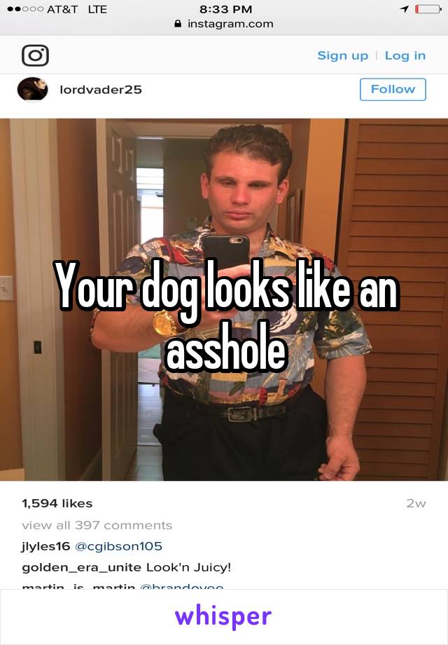 Your dog looks like an asshole