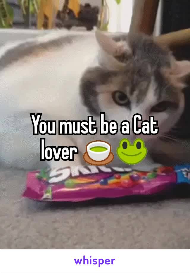 You must be a Cat lover 🍵🐸