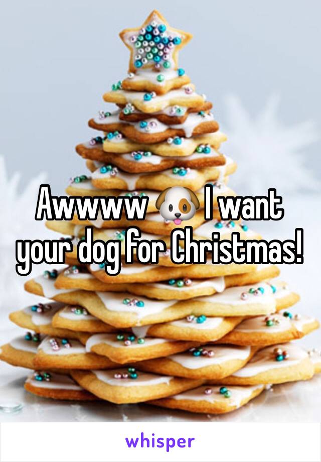 Awwww 🐶 I want your dog for Christmas!