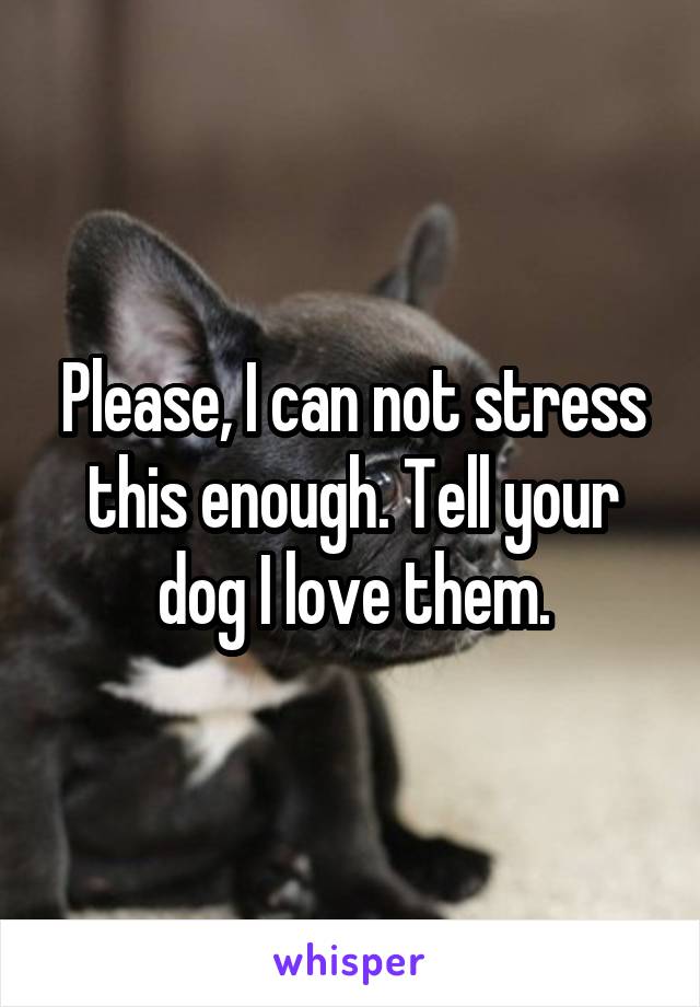 Please, I can not stress this enough. Tell your dog I love them.