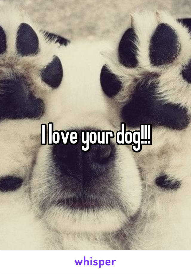 I love your dog!!!