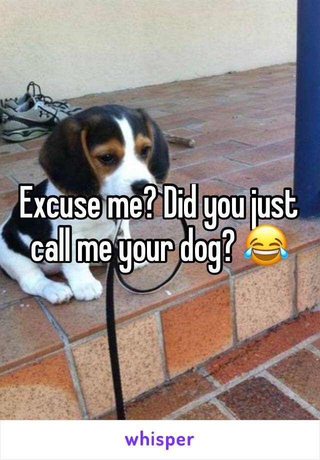 Excuse me? Did you just call me your dog? 😂