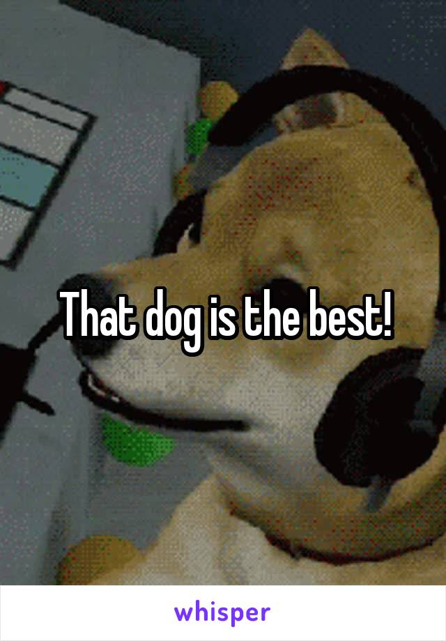 That dog is the best!