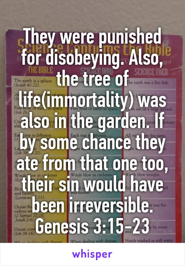 They were punished for disobeying. Also, the tree of life(immortality) was also in the garden. If by some chance they ate from that one too, their sin would have been irreversible. Genesis 3:15-23