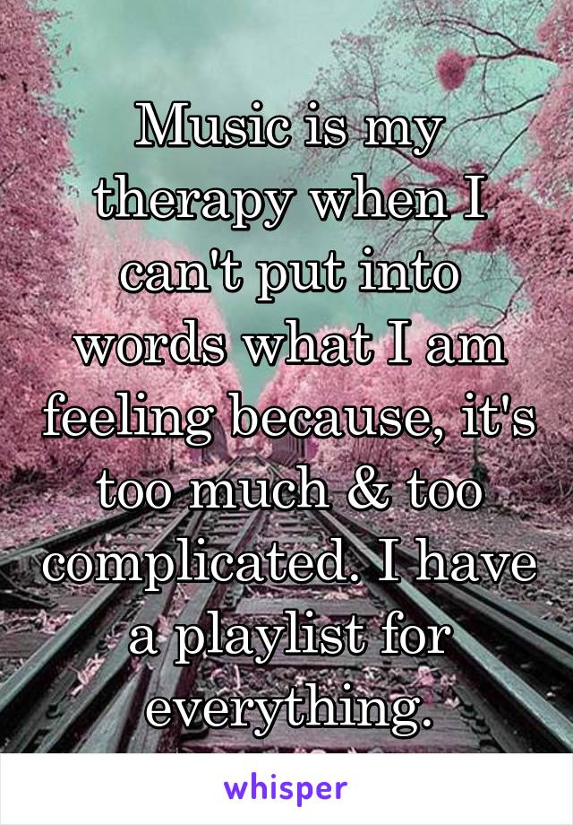 Music is my therapy when I can't put into words what I am feeling because, it's too much & too complicated. I have a playlist for everything.
