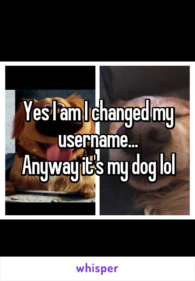 Yes I am I changed my username...
Anyway it's my dog lol