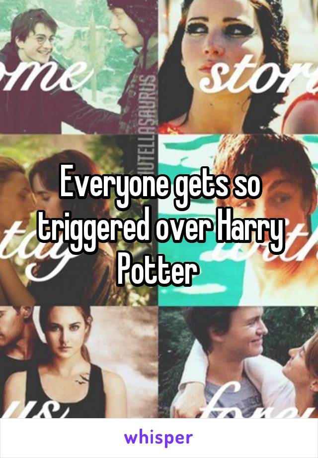 Everyone gets so triggered over Harry Potter 