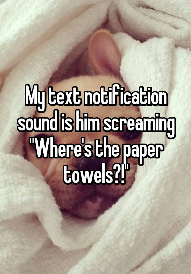 my-text-notification-sound-is-him-screaming-where-s-the-paper-towels