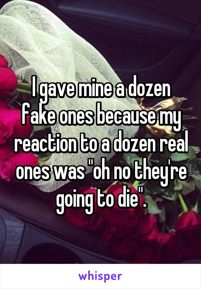I gave mine a dozen fake ones because my reaction to a dozen real ones was "oh no they're going to die".