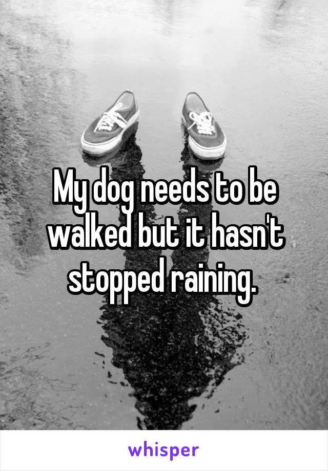 My dog needs to be walked but it hasn't stopped raining. 