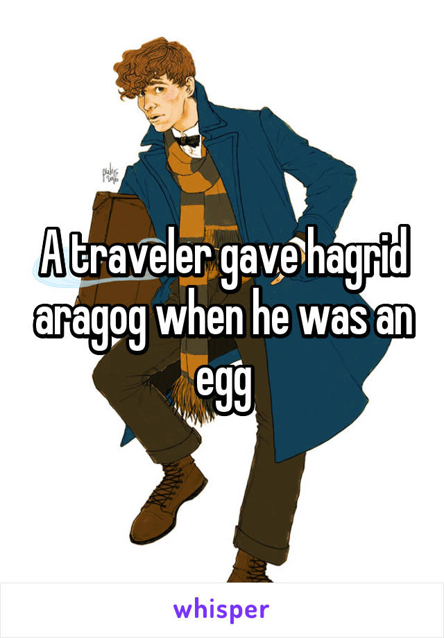 A traveler gave hagrid aragog when he was an egg