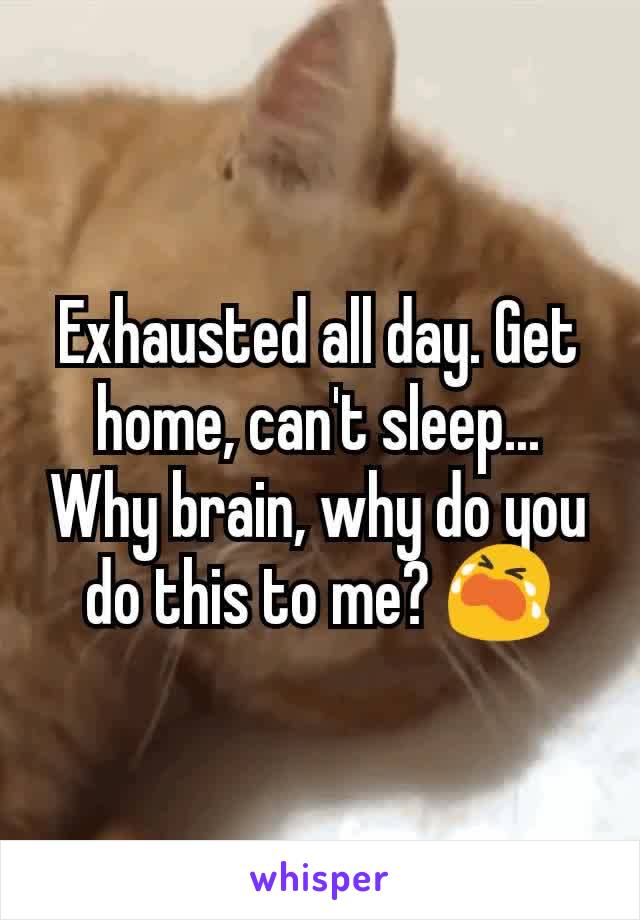 Exhausted all day. Get home, can't sleep... Why brain, why do you do this to me? 😭