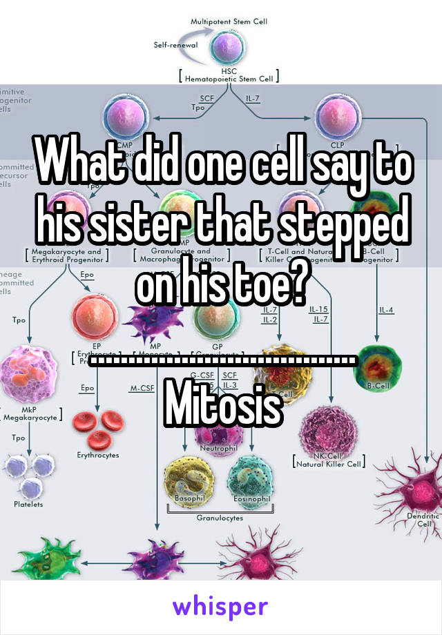 What did one cell say to his sister that stepped on his toe?
...................................
Mitosis
