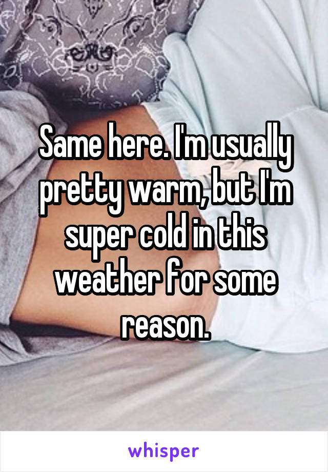 Same here. I'm usually pretty warm, but I'm super cold in this weather for some reason.