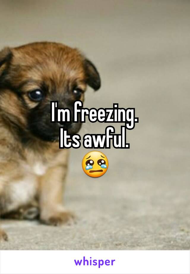 I'm freezing.
Its awful.
😢