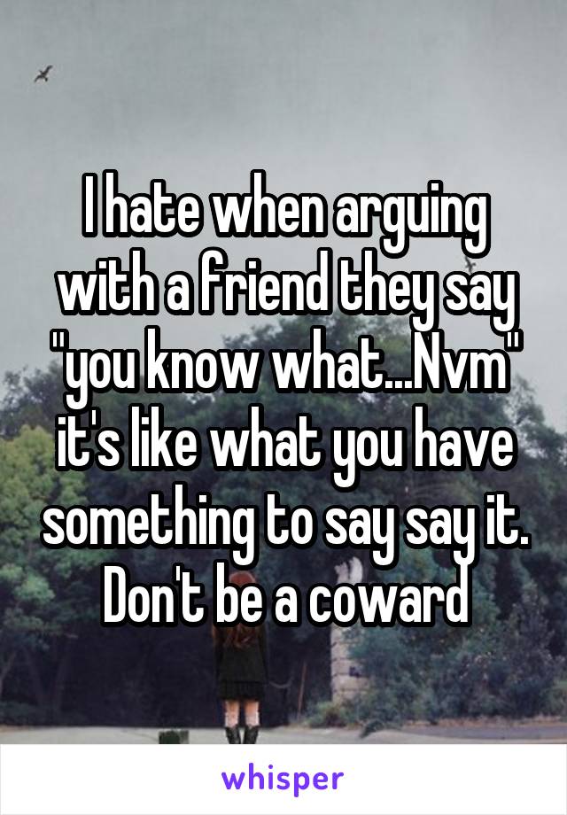 I hate when arguing with a friend they say "you know what...Nvm" it's like what you have something to say say it. Don't be a coward