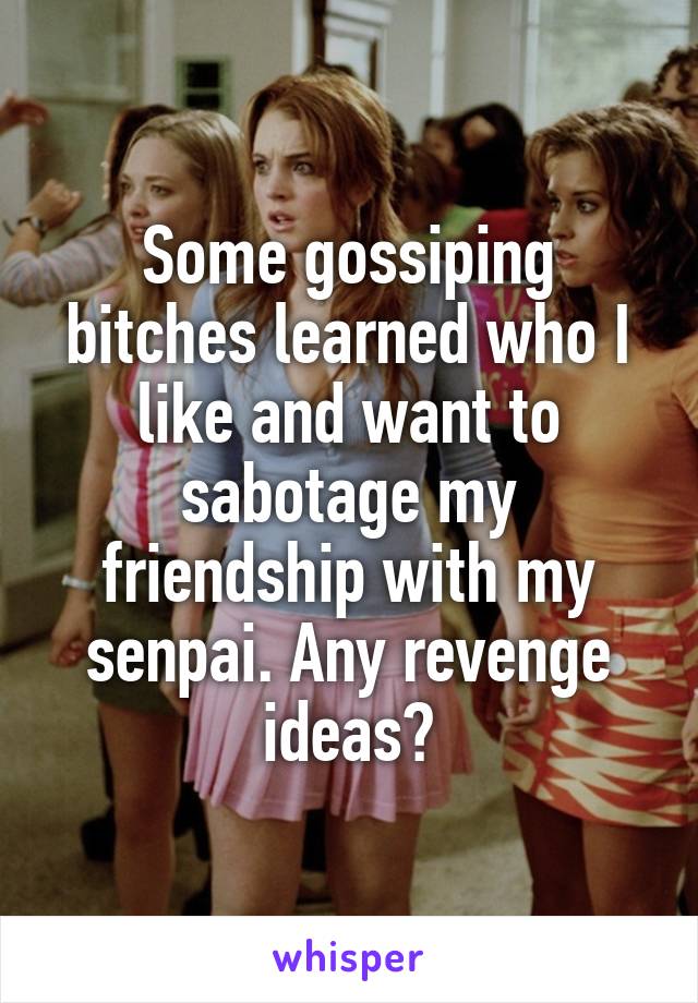 Some gossiping bitches learned who I like and want to sabotage my friendship with my senpai. Any revenge ideas?