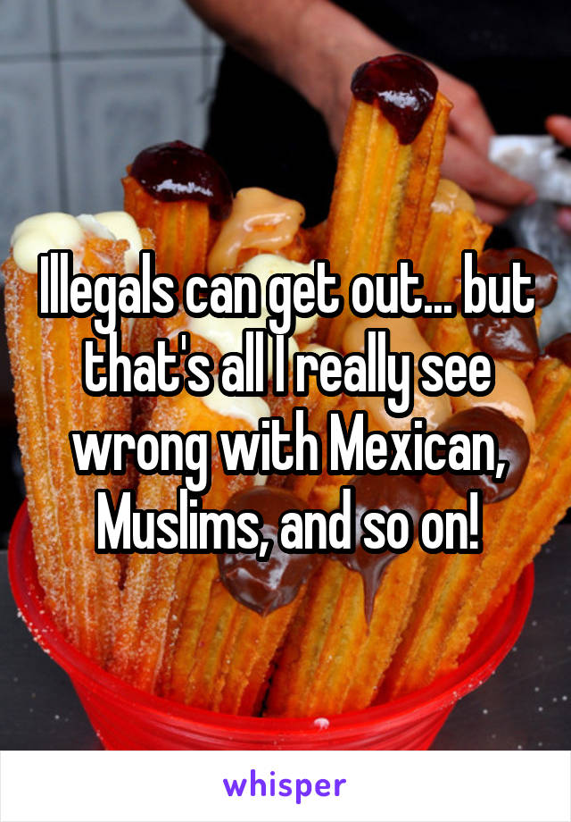 Illegals can get out... but that's all I really see wrong with Mexican, Muslims, and so on!