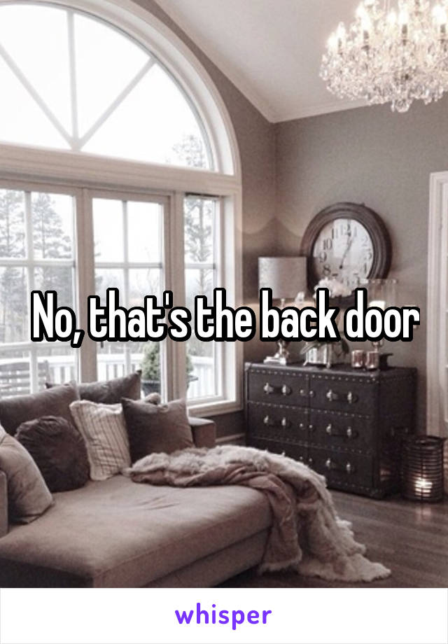 No, that's the back door