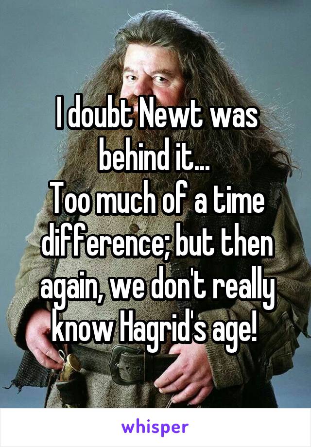 I doubt Newt was behind it... 
Too much of a time difference; but then again, we don't really know Hagrid's age! 