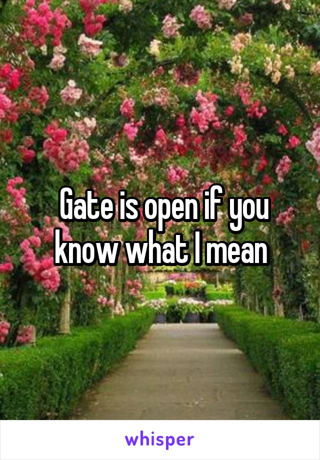 gate-is-open-if-you-know-what-i-mean