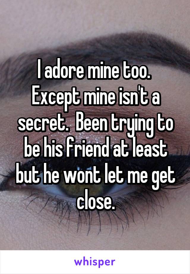 I adore mine too.  Except mine isn't a secret.  Been trying to be his friend at least but he wont let me get close.