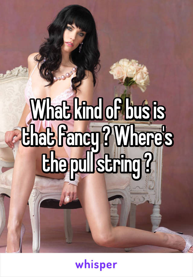 What kind of bus is that fancy ? Where's the pull string ?
