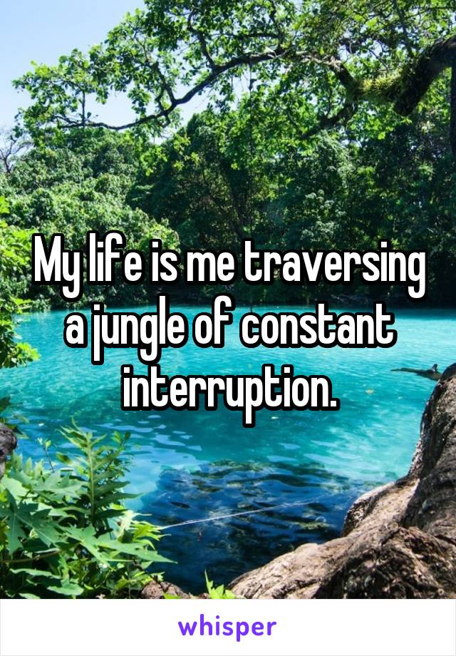 My life is me traversing a jungle of constant interruption.