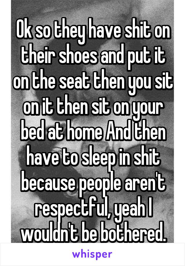 Ok so they have shit on their shoes and put it on the seat then you sit on it then sit on your bed at home And then have to sleep in shit because people aren't respectful, yeah I wouldn't be bothered.