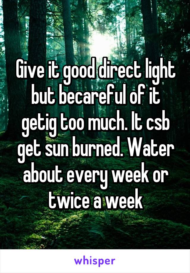 Give it good direct light but becareful of it getig too much. It csb get sun burned. Water about every week or twice a week