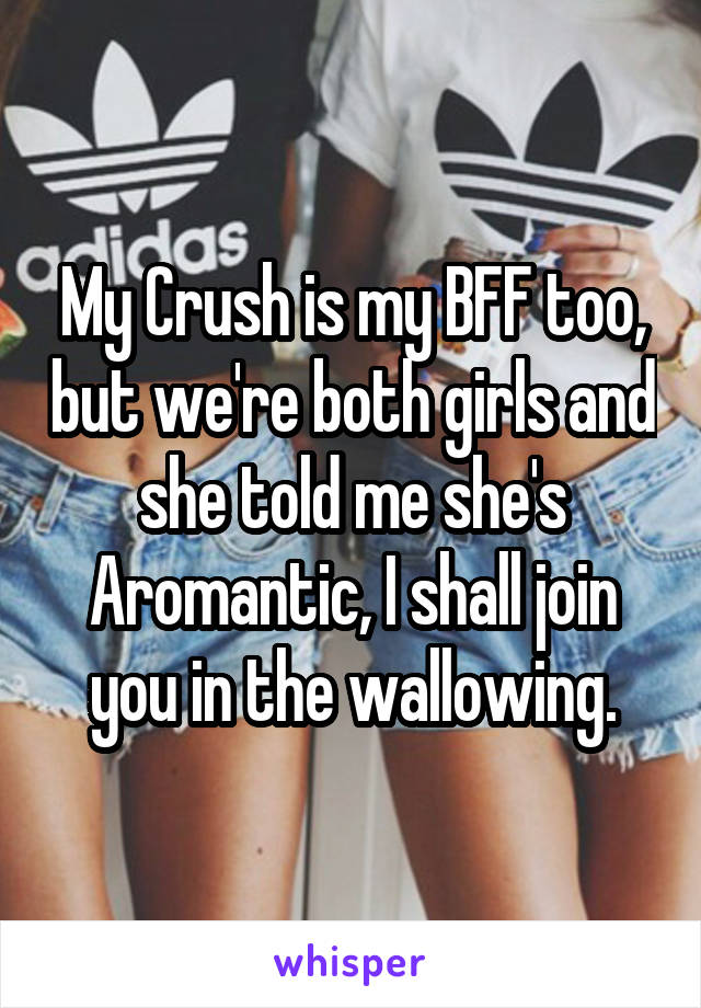 My Crush is my BFF too, but we're both girls and she told me she's Aromantic, I shall join you in the wallowing.