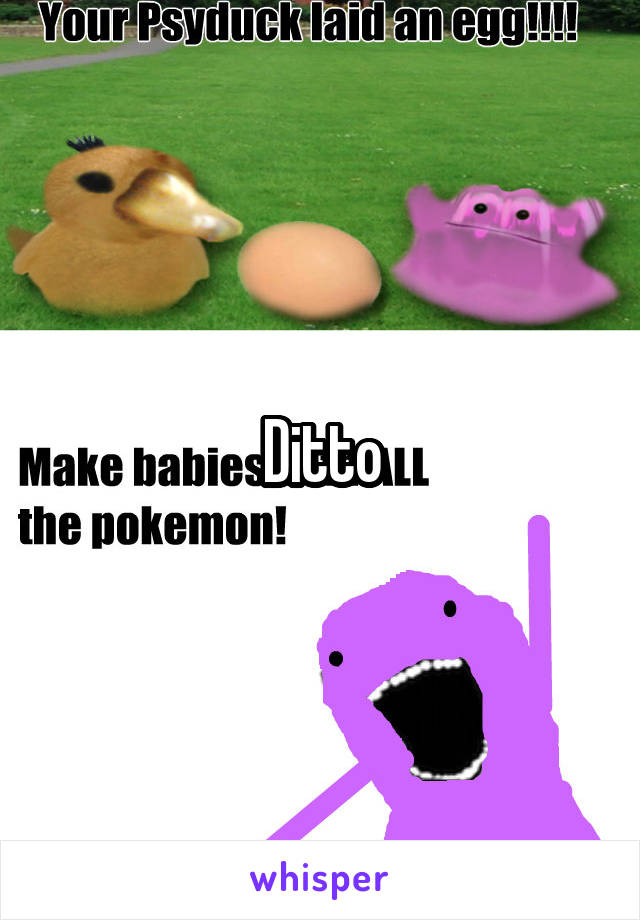 Ditto