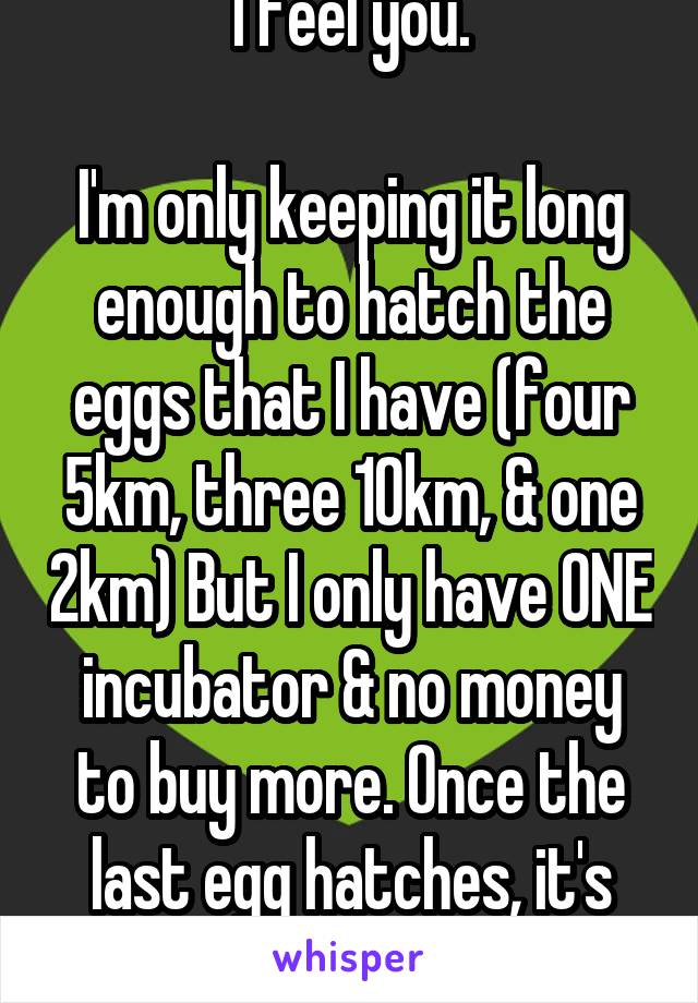 I feel you.

I'm only keeping it long enough to hatch the eggs that I have (four 5km, three 10km, & one 2km) But I only have ONE incubator & no money to buy more. Once the last egg hatches, it's gone.