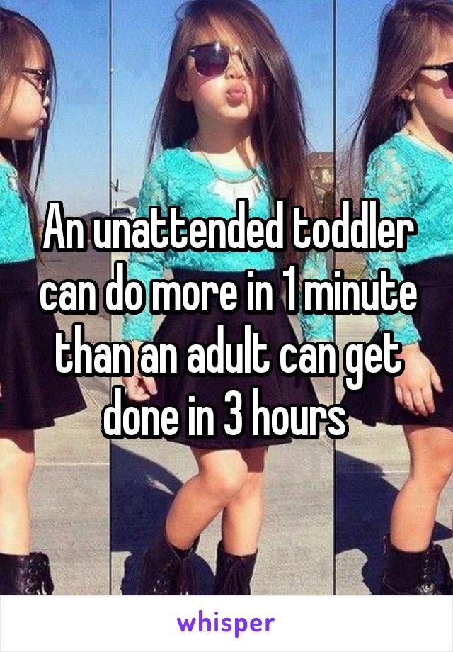 An unattended toddler can do more in 1 minute than an adult can get done in 3 hours 