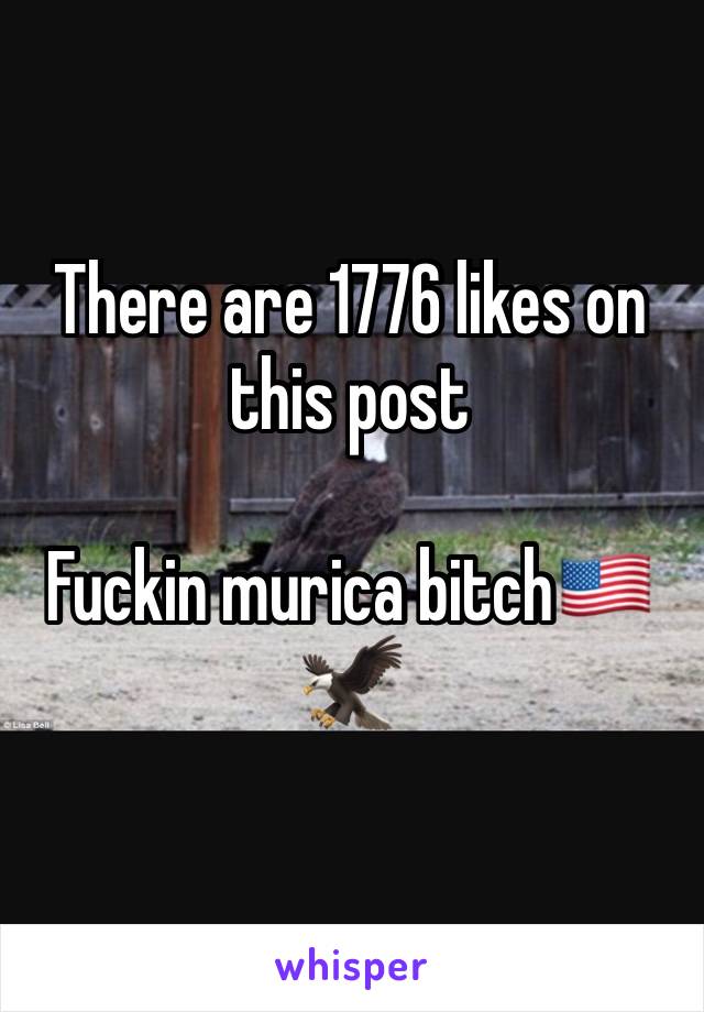 There are 1776 likes on this post

Fuckin murica bitch🇺🇸🦅
