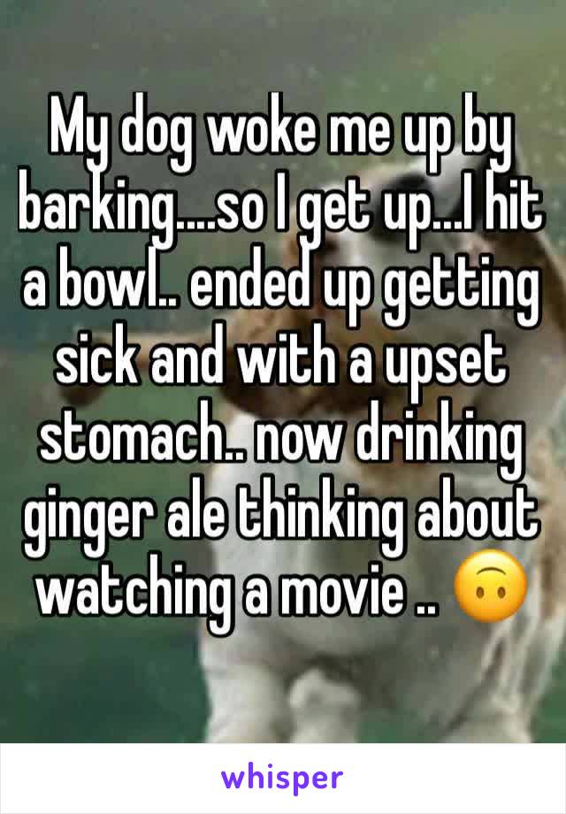 My dog woke me up by barking....so I get up...I hit a bowl.. ended up getting sick and with a upset stomach.. now drinking ginger ale thinking about watching a movie .. 🙃