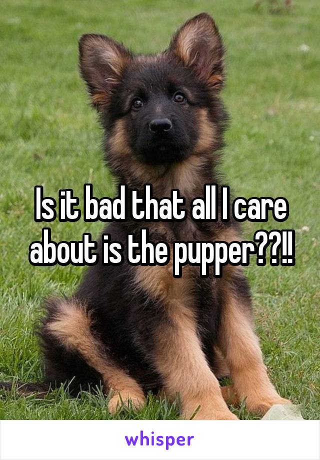 Is it bad that all I care about is the pupper??!!