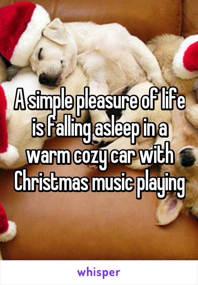 A simple pleasure of life is falling asleep in a warm cozy car with Christmas music playing