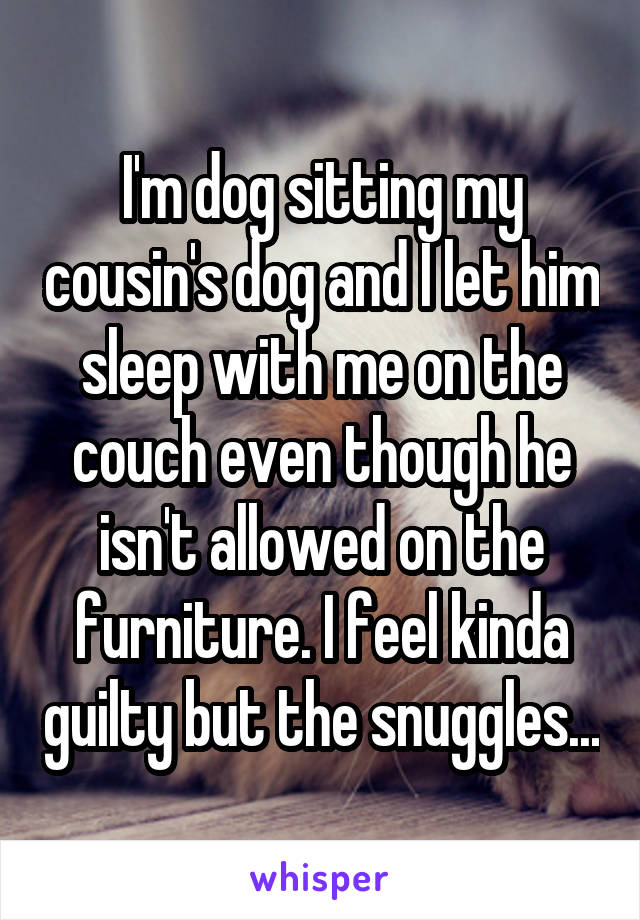 I'm dog sitting my cousin's dog and I let him sleep with me on the couch even though he isn't allowed on the furniture. I feel kinda guilty but the snuggles...