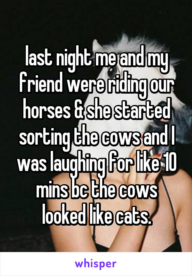 last night me and my friend were riding our horses & she started sorting the cows and I was laughing for like 10 mins bc the cows looked like cats.