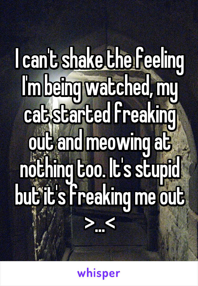 I can't shake the feeling I'm being watched, my cat started freaking out and meowing at nothing too. It's stupid but it's freaking me out >...<