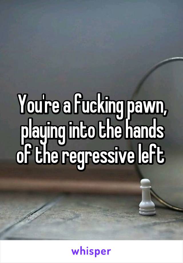 You're a fucking pawn, playing into the hands of the regressive left 