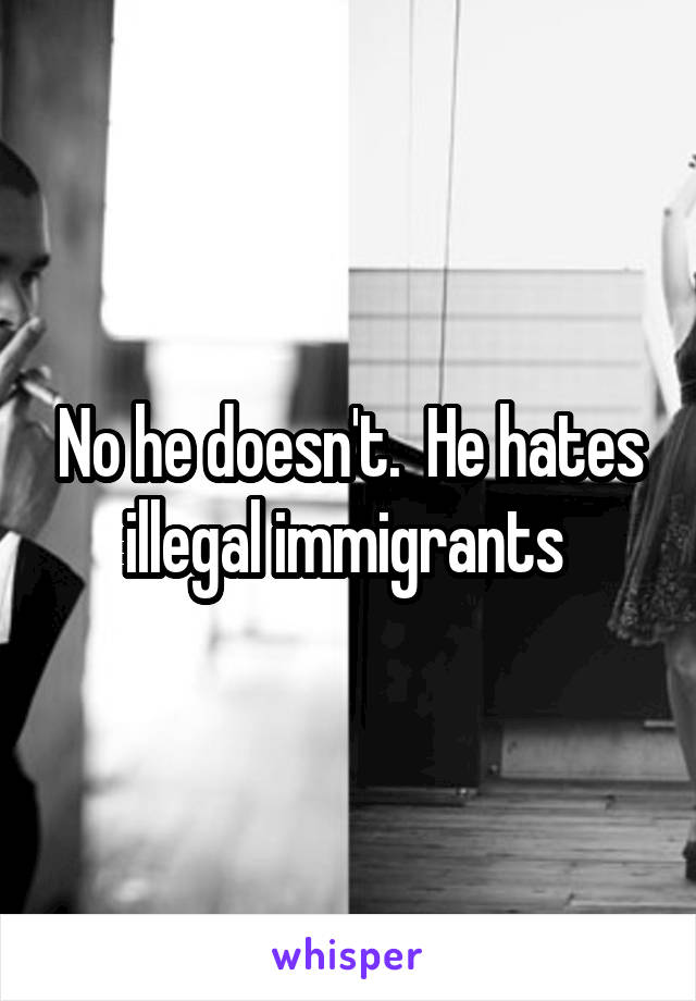 No he doesn't.  He hates illegal immigrants 