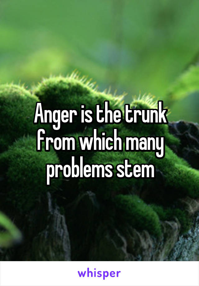 Anger is the trunk from which many problems stem