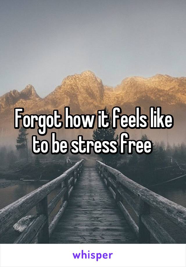 Forgot how it feels like to be stress free 