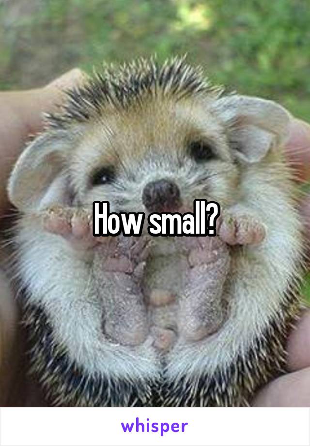 How small?