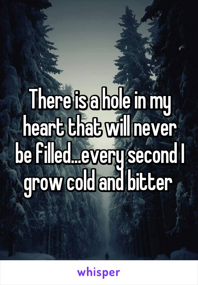 There is a hole in my heart that will never be filled...every second I grow cold and bitter 